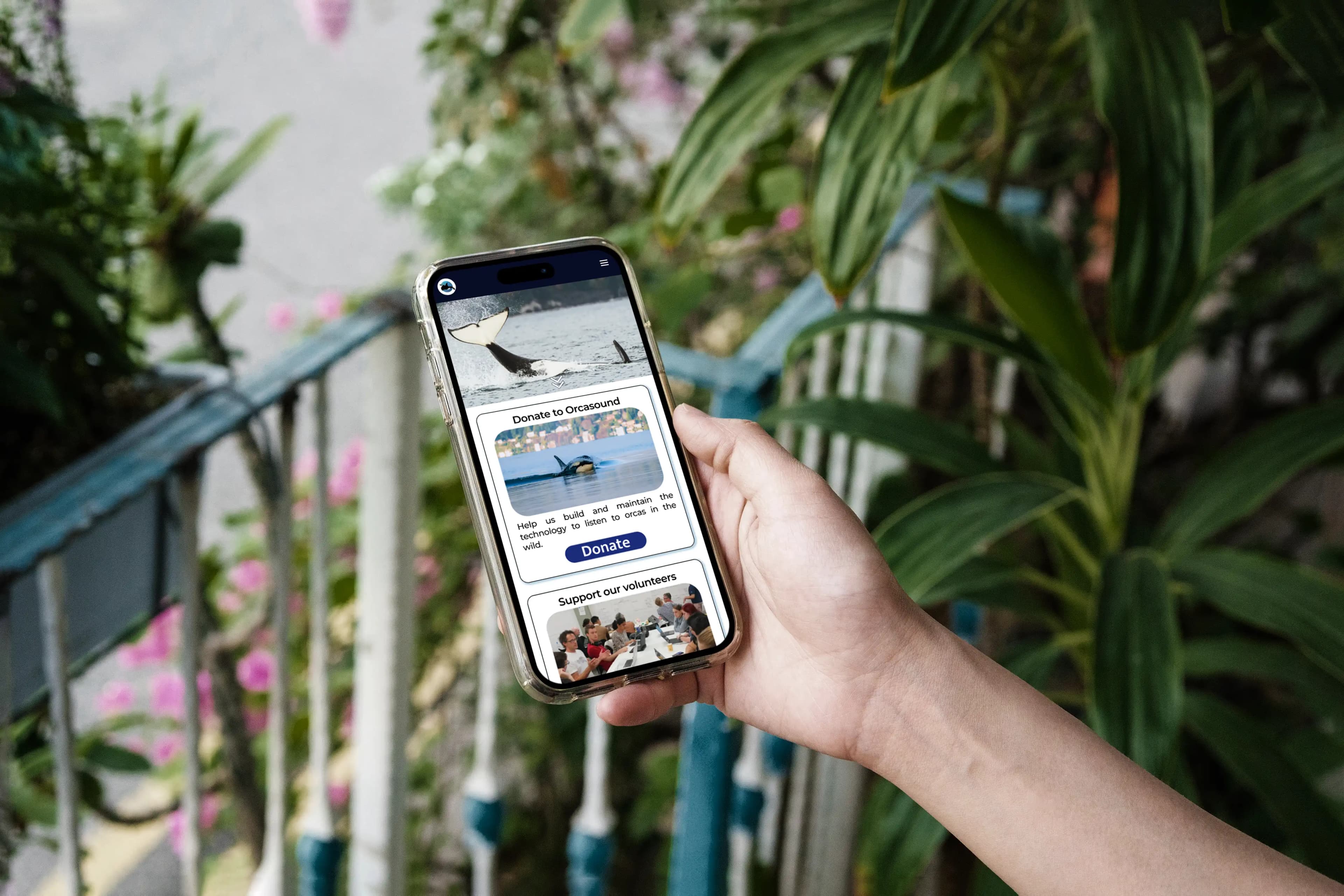 Orcasound Website Redesign